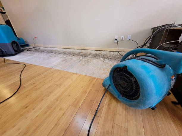 Professional Sewage Cleanup technician working in Hamilton, TX